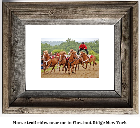 horse trail rides near me in Chestnut Ridge, New York